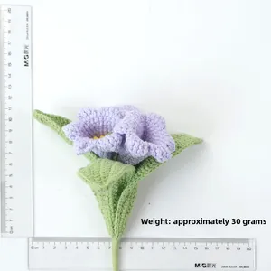 Vue détaillée de fleurs au crochet violettes avec règle indiquant un poids de 30g