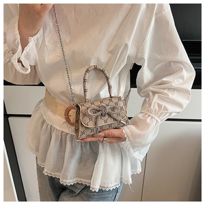 Detail of mini handbag with diamond bow buckle, luxury monogram print and silver chain