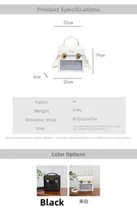 Size chart showing 20x19x6cm dimensions for the transparent crossbody ita bag