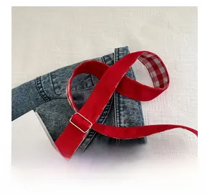 Détail de la bandoulière rouge en toile avec boucle argentée et doublure à carreaux