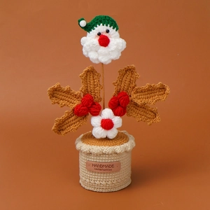 Detail van de gehaakte Kerstman potplant met handgemaakt label en rode bessen