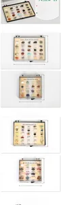 Detailed size comparison of mini crystal gemstone specimen sets in plastic display boxes