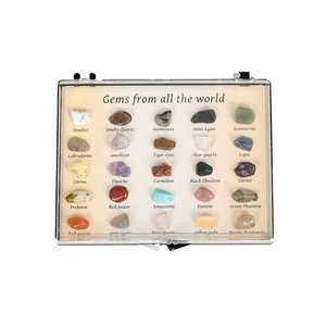 Educational 20pcs natural mixed crystal ore specimen set in a clear display box