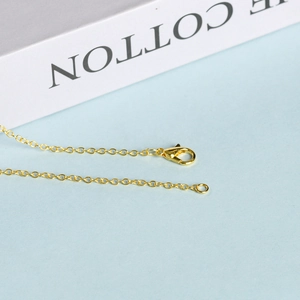 Golden delicate chain necklace with lobster clasp and extender for jewelry making