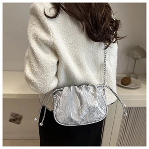 Silver metallic pleated bucket bag with chain strap shown on a model's shoulder