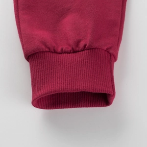 Kids' burgundy ribbed knit joggers with elastic embroidered cuffs for autumn wear