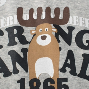 Kids grey fleece sweatshirt with retro moose graphic and Strong Animal 1865 lettering