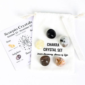 Scorpio zodiac crystal set with tumbled stones, selenite wand and drawstring pouch