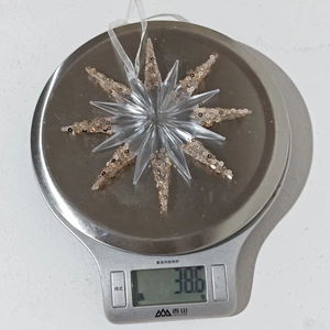 Transparent star Christmas ornament with champagne sequins showing weight of 38.6g