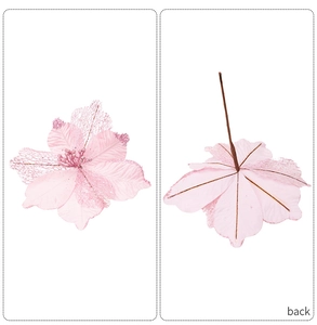 Detailed front and back view of pink Christmas flowers with glitter and lace petals