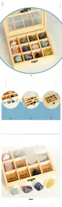 Detail of 12 natural crystal specimens in a wooden display box with clear glass lid
