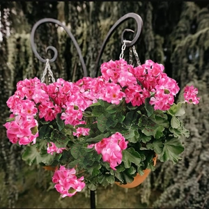 Detalle de cesta colgante con geranios artificiales rosas y hojas verdes en ganchos