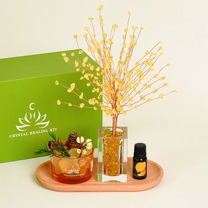 Crystal Aromatherapy Diffuser Healing Gemstone Tree Essential Oil Diffuser Stone Glass Jar Wooden Tray Home Decor Gift