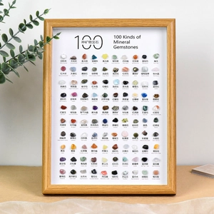 Natural Mineral Ore Specimen Display Frame Wooden Glass Collection Educational Teaching Home Decor Science Material Kids Students