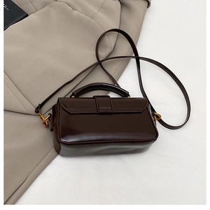 Détails du sac à main en cuir verni chocolat avec boucle en métal doré rétro