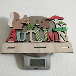 Macro view of Autumn wooden squirrel ornament on an electronic scale showing 480.0g weight