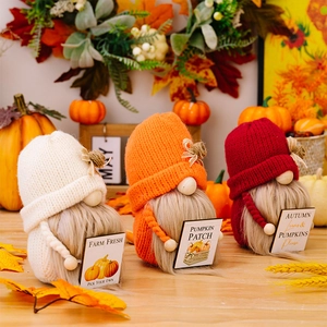 Detail van herfst kabouters met gebreide mutsen en houten Farm Fresh Pumpkin bordjes