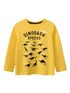Boys Girls Long Sleeve T-Shirt Pure Combed Cotton Dinosaur Species Print Cartoon Crew Neck Casual Autumn Spring Top
