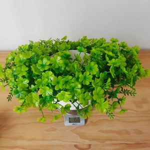 Close-up of Saint Patrick's Day clover wreath in white pot being weighed on digital scale