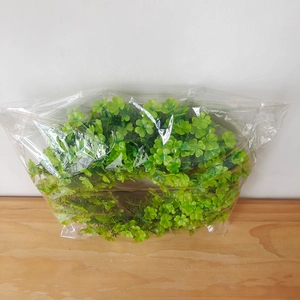 Close-up of Saint Patrick's Day green clover wreath in protective clear packaging