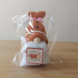 Close-up of a gingerbread cafe gnome plush with knitted hat and wooden nose in packaging