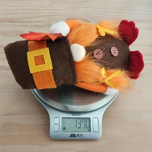 Detail eines herbstlichen Zwergs mit 137 g Gewicht auf einer Küchenwaage