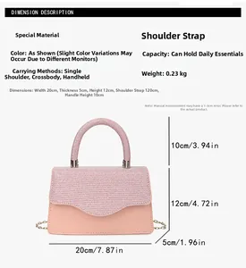 Size chart for pink metallic crossbody bag with measurements 20cm x 5cm x 12cm