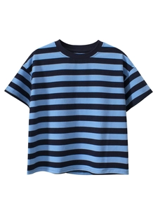 Classic blue and black striped short sleeve t-shirt with crew neck on white background