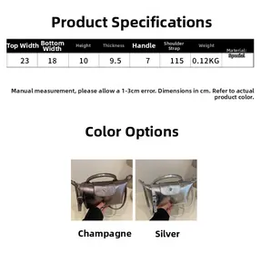 Detailed size guide and dimension chart for the mini metallic dumpling crossbody bag