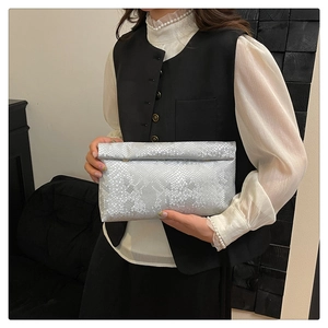 Detail of silver snake-patterned clutch bag with elegant matte texture and golden buckle