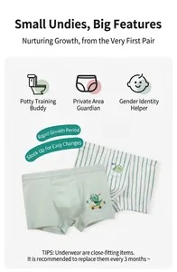 Detail showing two pairs of breathable boys' underwear with cute dinosaur prints