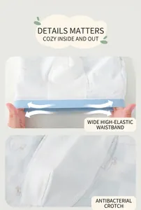 Close-up of boys boxer briefs featuring elastic waistband and breathable cotton fabric