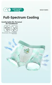 Breathable mesh fabric boys' boxers with cute dragon print and airy grid design