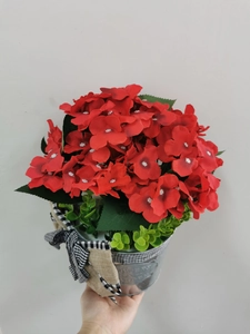 Close-up of red geranium bucket with Flowers & Garden engraving and plaid bow