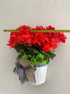 Detail view showing a 35cm width measurement of Christmas red geranium hanging basket