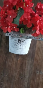 Top view of red geranium basket with vintage bird pot measuring 21cm in width