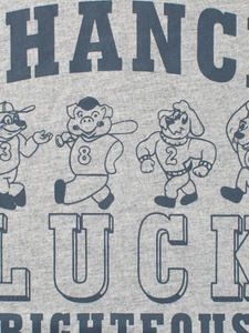 Maglia grigia a maniche lunghe da bambino in cotone con stampe animali vintage