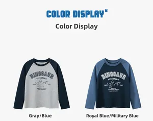 Detailed color display of dinosaur print raglan sleeve T-shirts for kids in blue and grey
