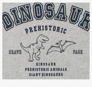 Close-up of grey knit fabric featuring prehistoric dinosaur print on children's T-shirt