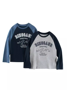 Boys Long Sleeve T-Shirt 100 Percent Cotton Raglan Sleeve Dinosaur Print Round Neck Casual Pullover Top For Kids Teens
