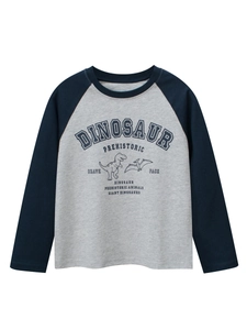 Kids long sleeve raglan T-shirt with navy dinosaur prints and grey heathered fabric