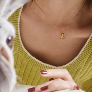 Collier doré avec pendentif bouledogue français porté sur un pull en maille verte