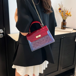 Red crocodile texture and clear PVC luxury handbag with gold chain and metal clasp