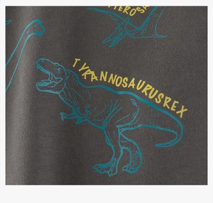 Detail of Tyrannosaurus Rex print on dark grey knit fabric for children's t-shirt