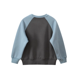 Detail of color-block crew neck sweatshirt with raglan sleeves and ribbed cuffs