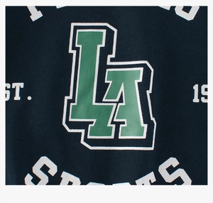 Detail of LA sports print on navy raglan long sleeve tee with collegiate style graphics
