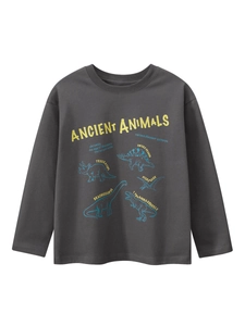Boys Casual 100% Cotton Dinosaur Print Long Sleeve T-Shirt Korean Style Soft Breathable Round Neck Pullover Top For Kids