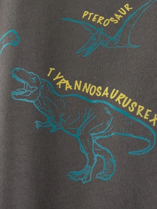 Dark grey cotton T-shirt for boys with cyan dinosaur print and yellow lettering