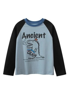 T-Shirt Manches Longues Enfant 100% Coton Peigné Dinosaure Tyrannosaurus Rex Dessin Animé Manches Raglan Décontracté Top