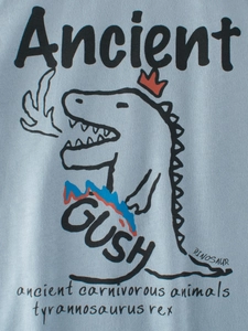 T-shirt à manches longues raglan bleu clair pour enfants avec imprimé dinosaure T-Rex